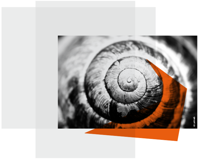 Privatpersonen - Einzelcoaching
